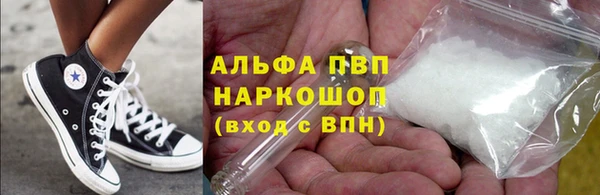 спайс Гусев