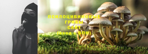 спайс Гусев