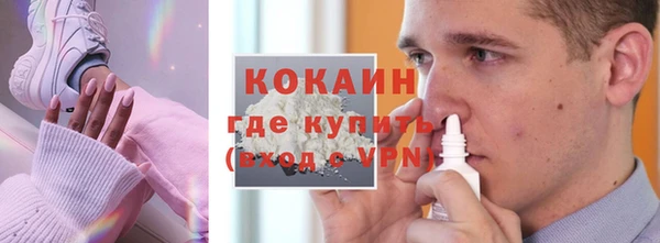 PSILOCYBIN Вяземский