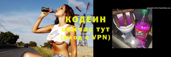 PSILOCYBIN Вяземский