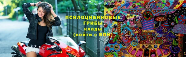 PSILOCYBIN Вяземский