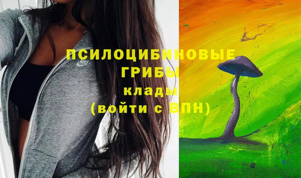 метамфетамин Гусиноозёрск