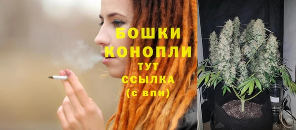 PSILOCYBIN Вяземский