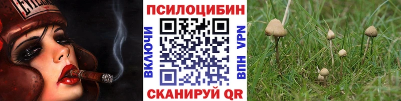 купить наркотик Джанкой Псилоцибиновые грибы мицелий